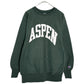 90s Champion REVERSE WEAVE College Sweat