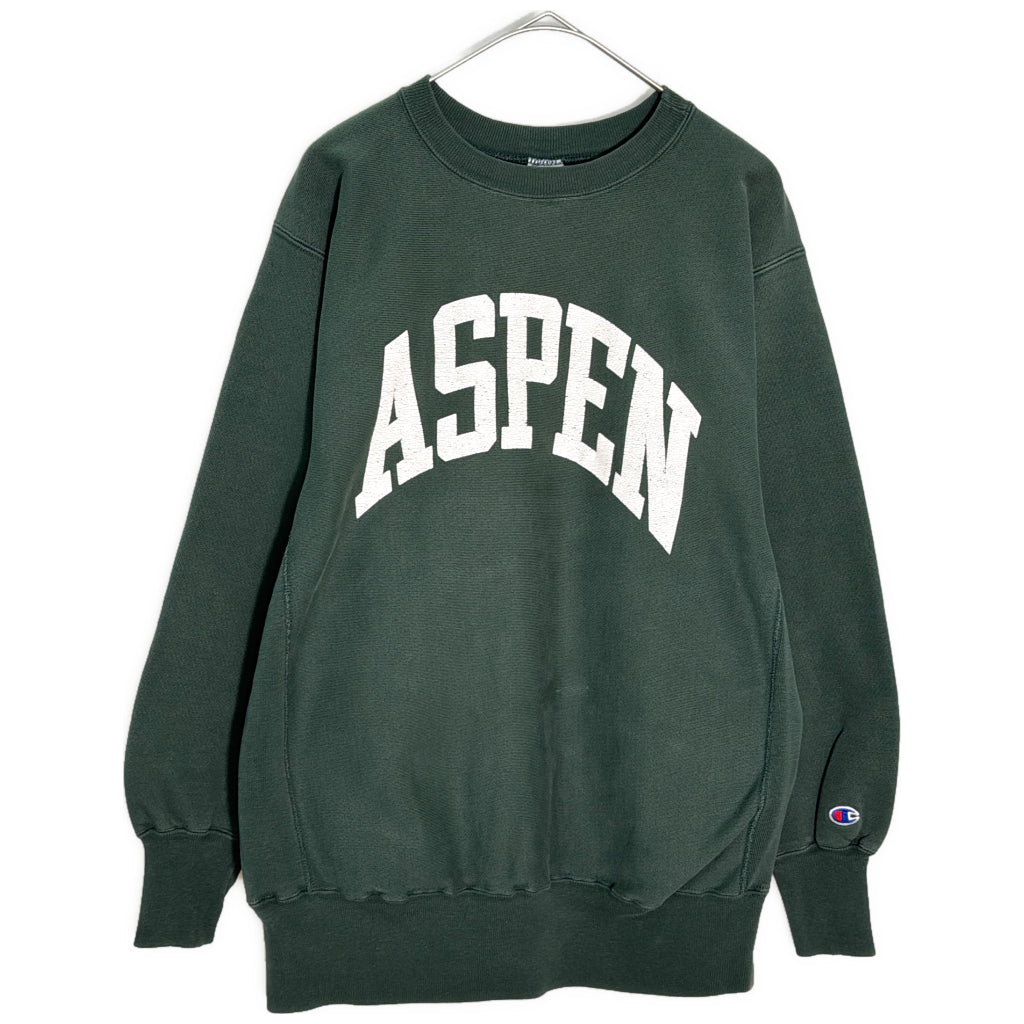 90s Champion REVERSE WEAVE College Sweat