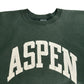 90s Champion REVERSE WEAVE College Sweat