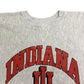 90s Champion REVERSE WEAVE College Sweat