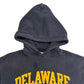 00s Champion College Hoodie