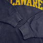 00s Champion College Hoodie