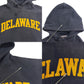 00s Champion College Hoodie