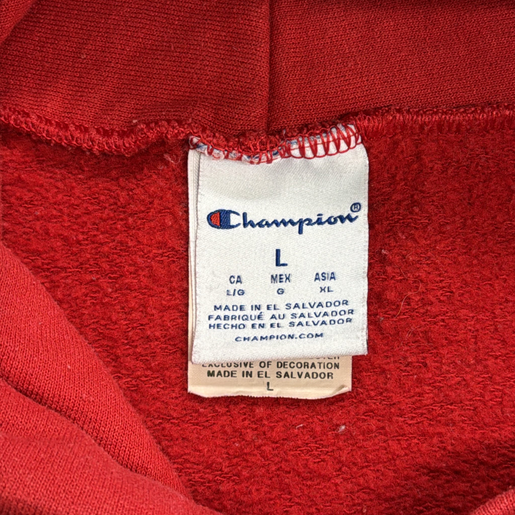 Champion College Hoodie