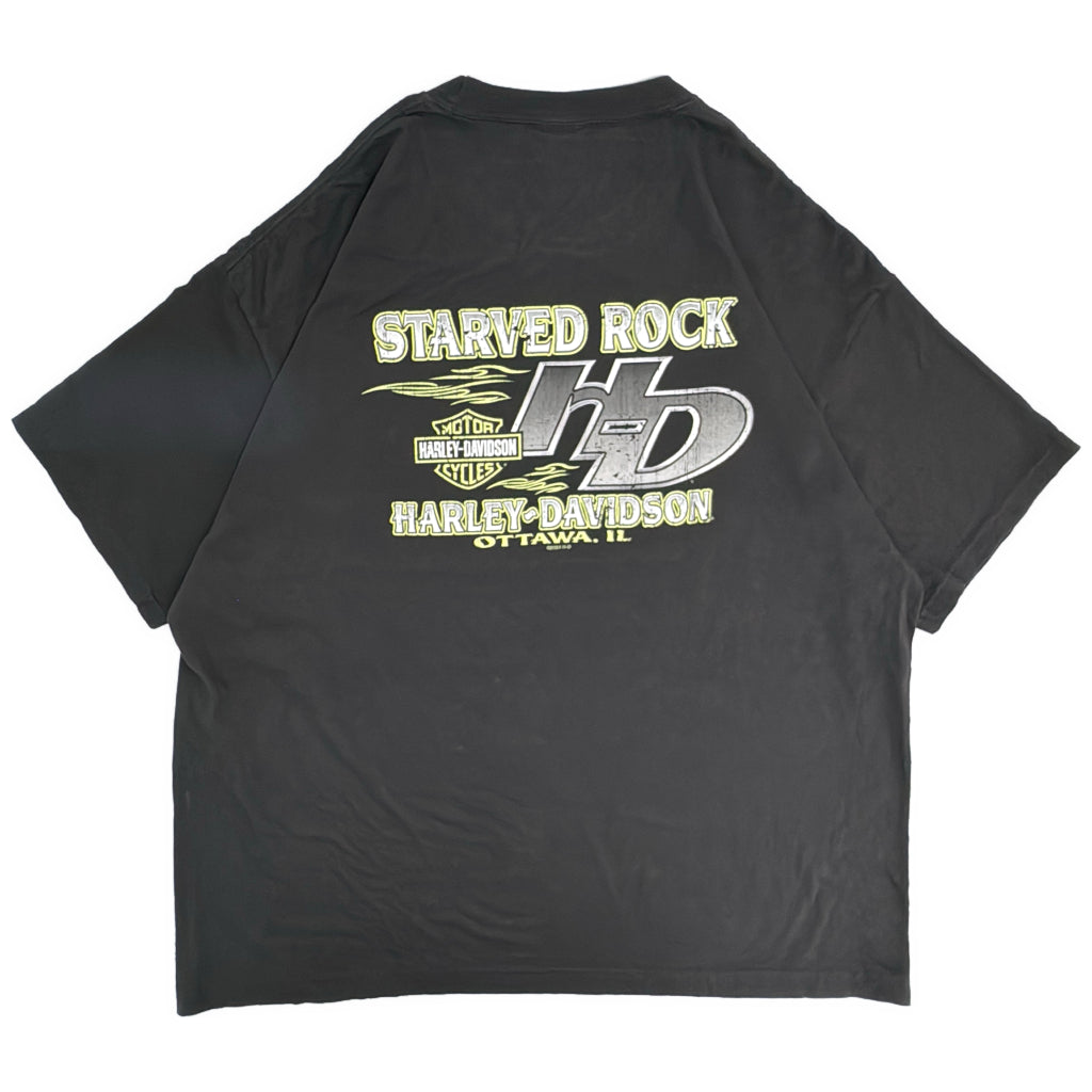 HARLEY DAVIDSON Motorcycle T-Shirt