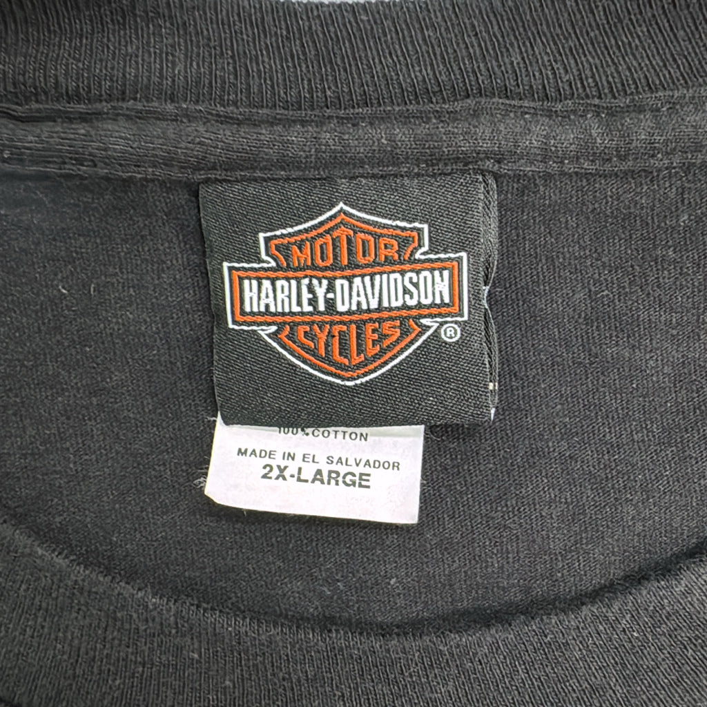 HARLEY DAVIDSON Motorcycle T-Shirt