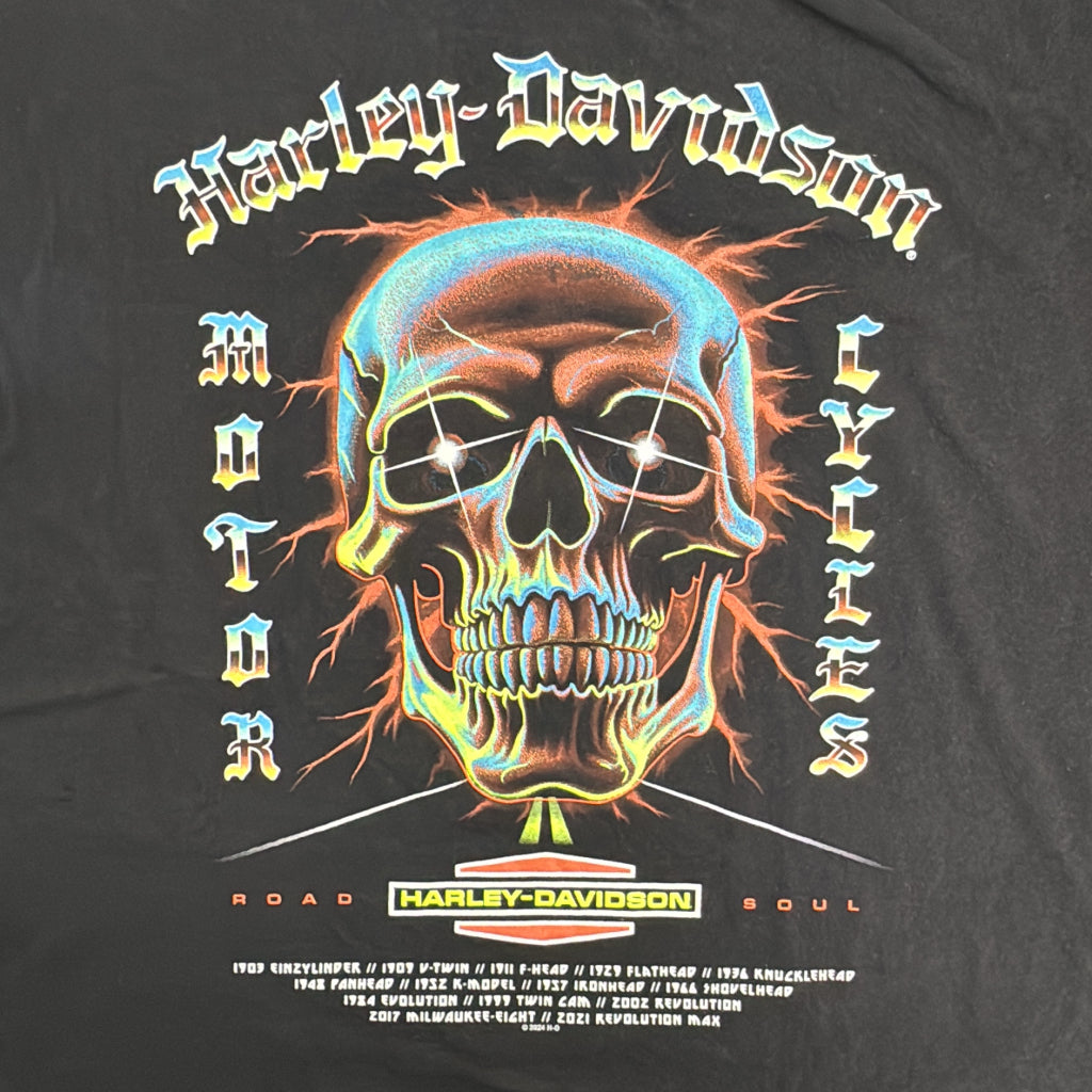 HARLEY DAVIDSON Motorcycle T-Shirt