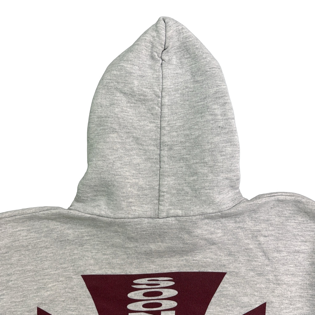 Hanes College Hoodie