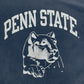 90s Champion REVERSE WEAVE College Sweat