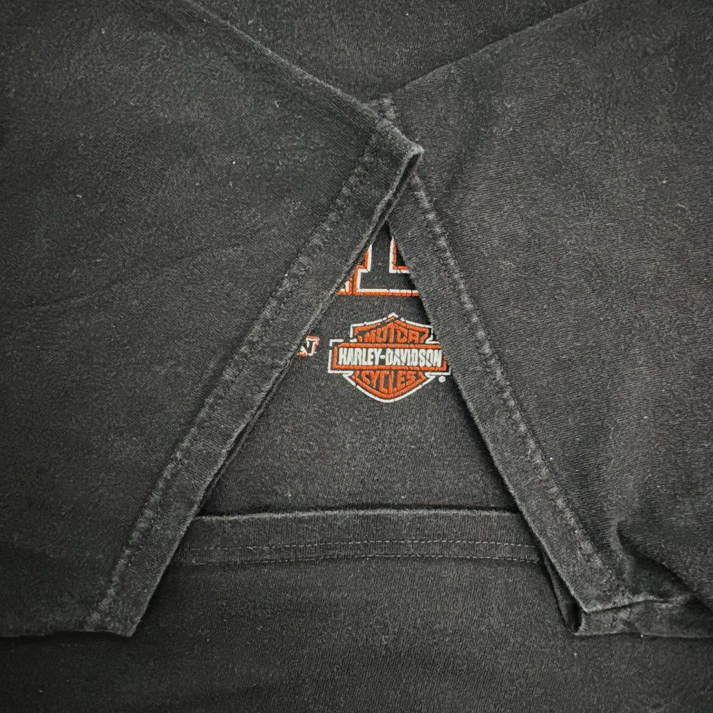 HARLEY DAVIDSON Motorcycle T-Shirt