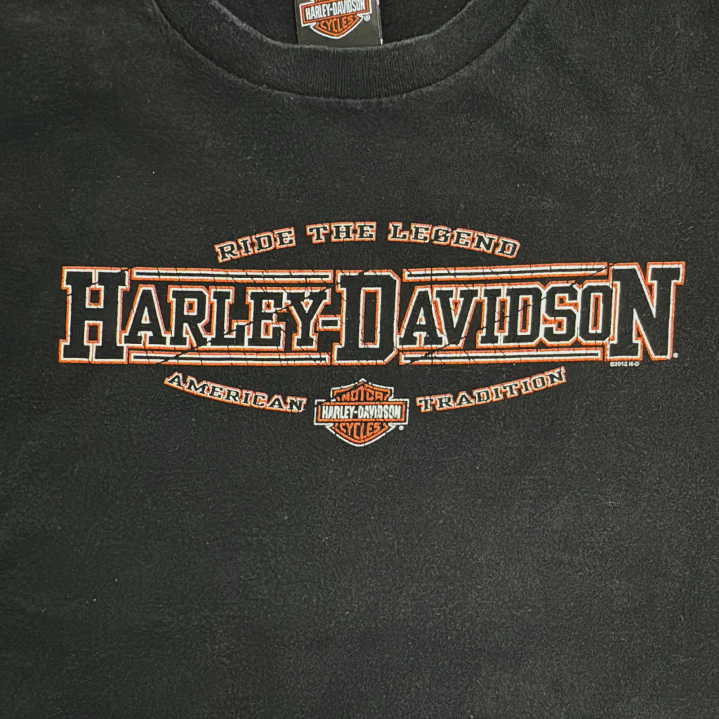 HARLEY DAVIDSON Motorcycle T-Shirt
