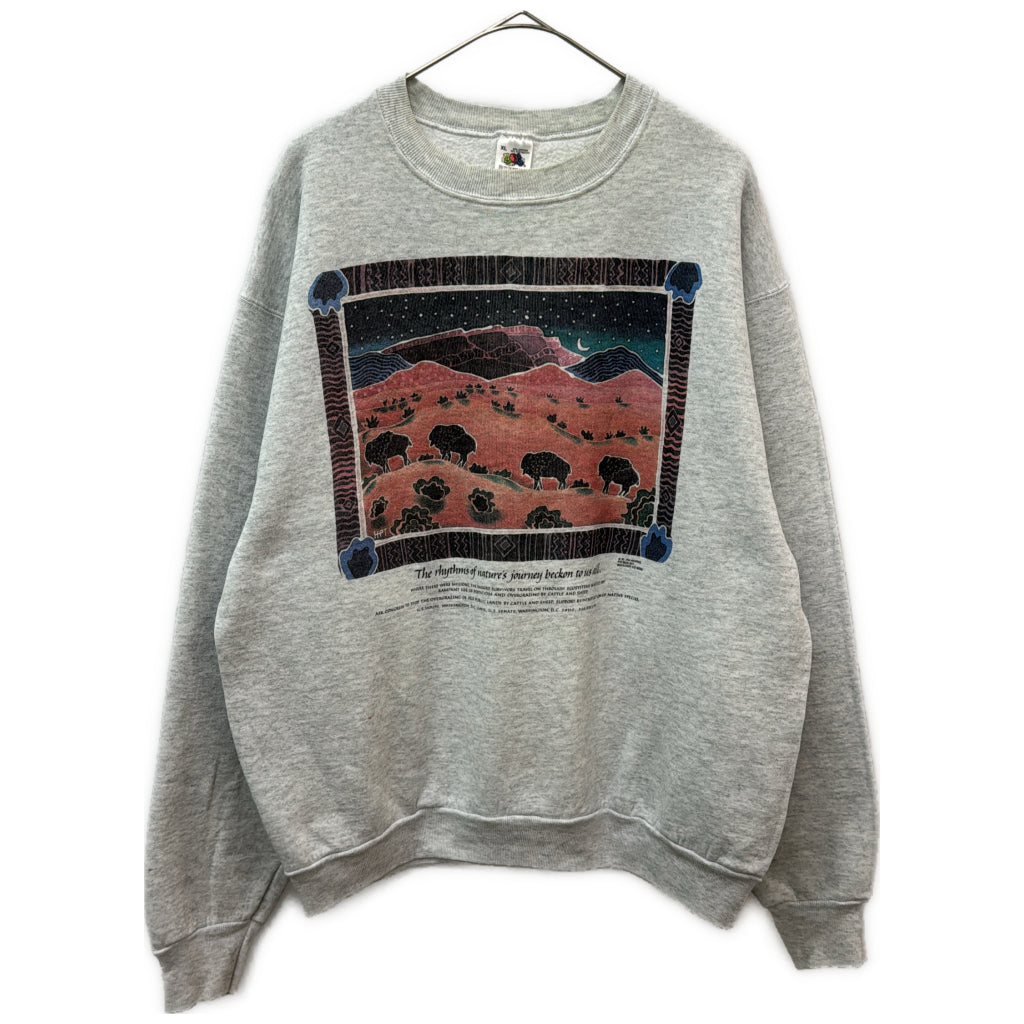 90s FRUIT OF THE LOOM Sweat