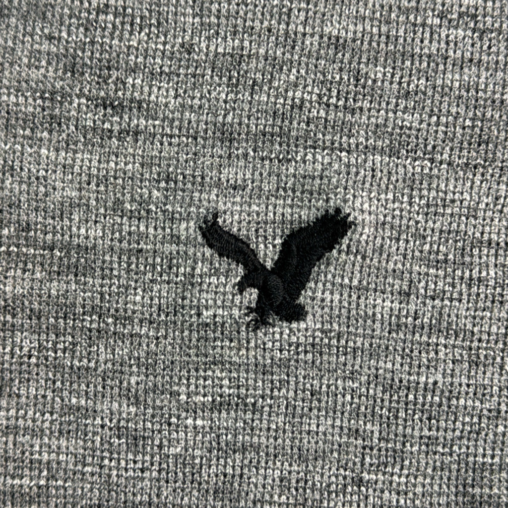 American Eagle Logo Hoodie