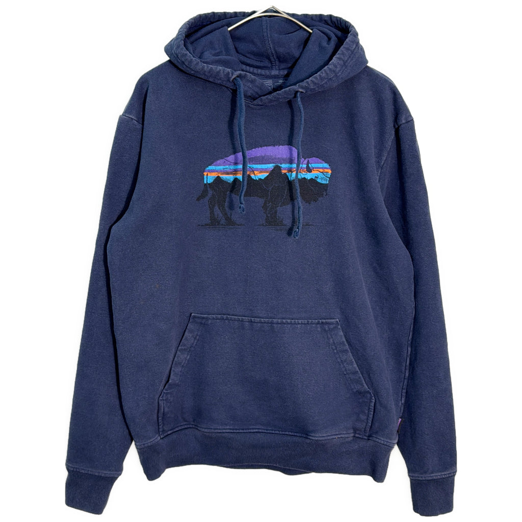 patagonia Hoodie