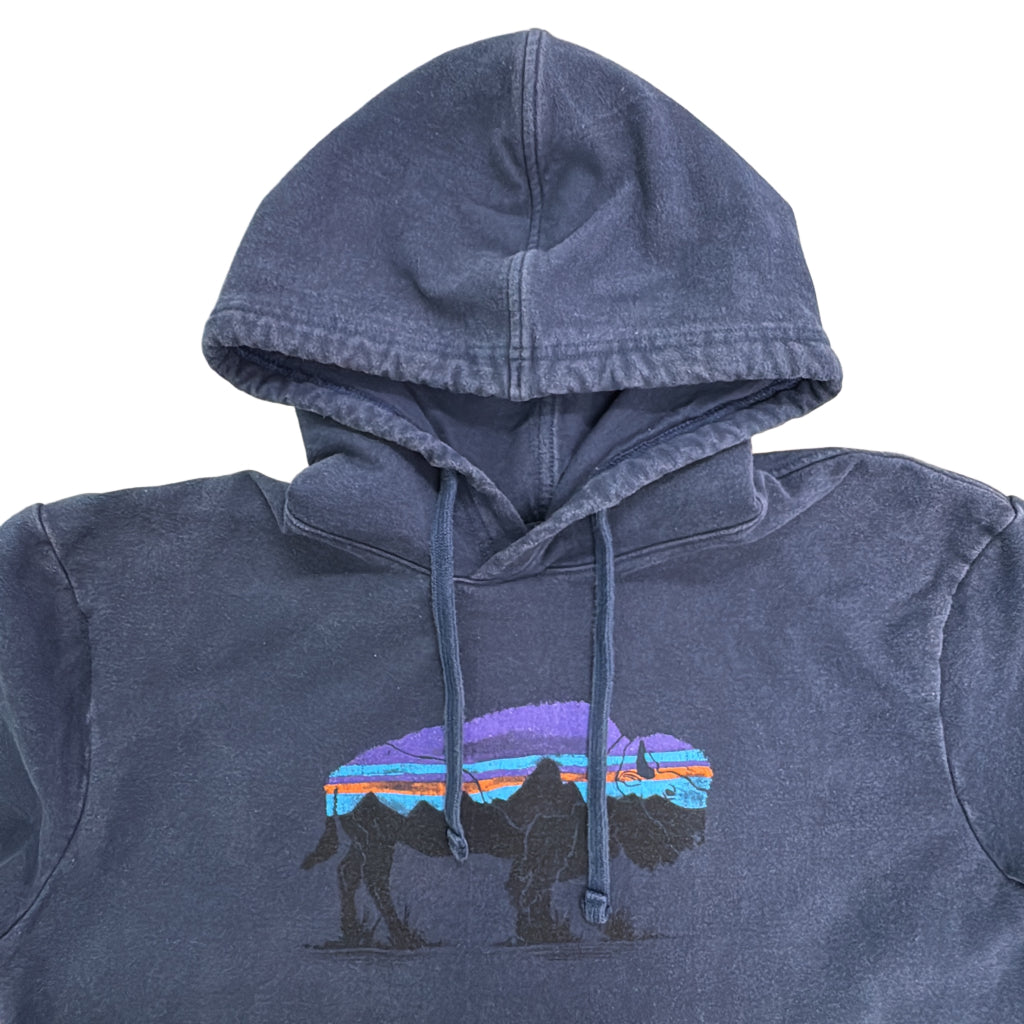 patagonia Hoodie