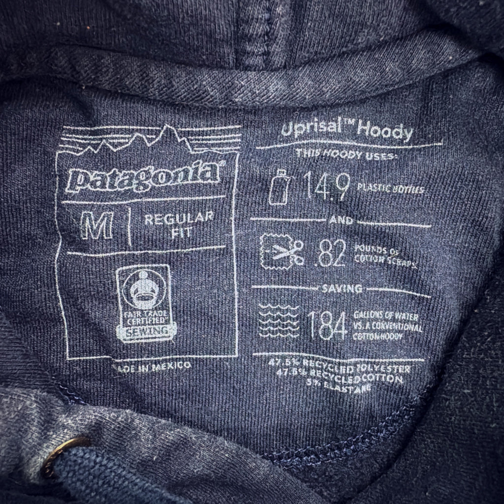 patagonia Hoodie