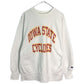 90s Champion REVERSE WEAVE Sweat