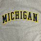 00s Champion REVERSE WEAVE College Sweat