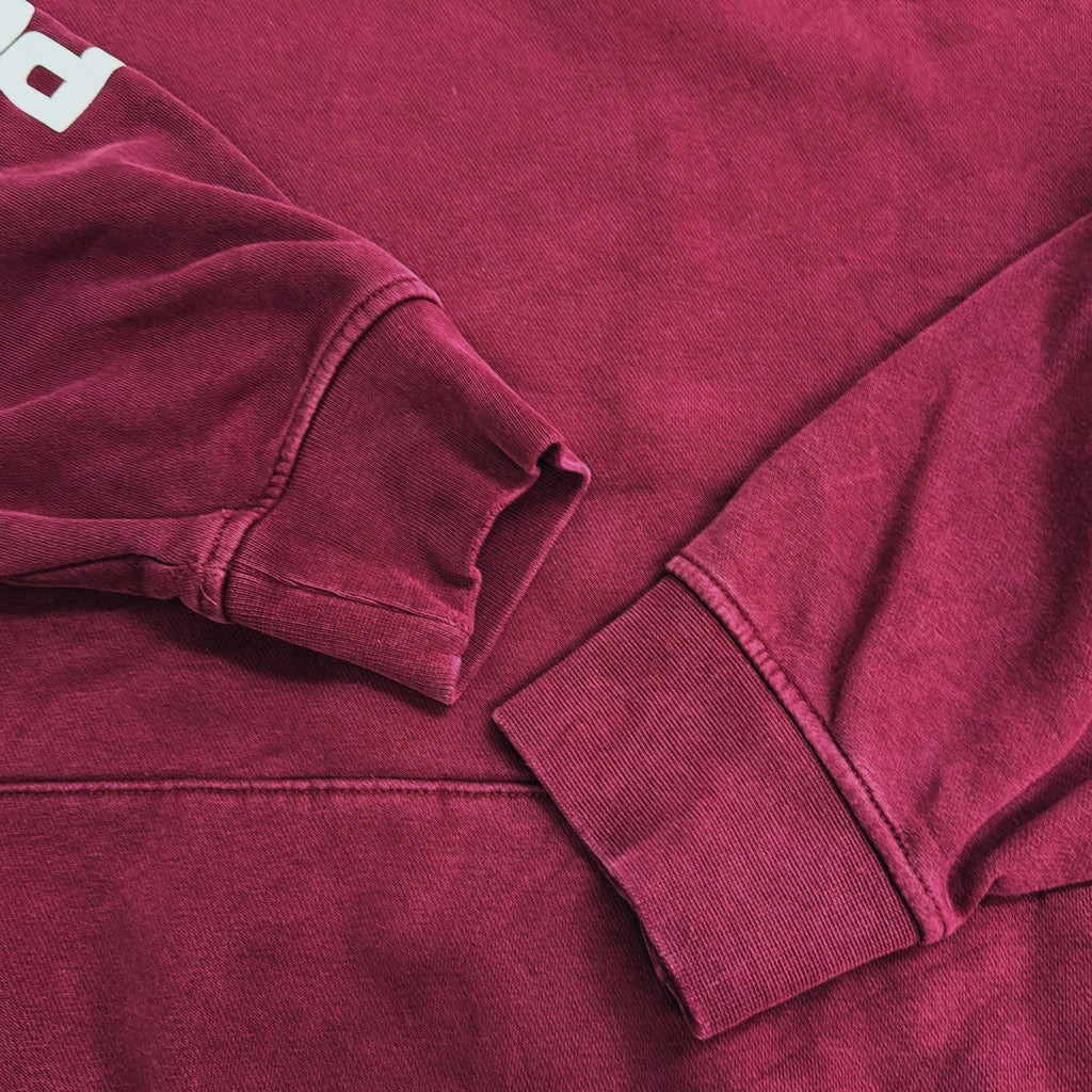 POLO SPORT Logo Hoodie