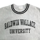 Champion REVERSE WEAVE College Sweat