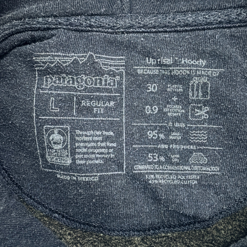 patagonia Hoodie
