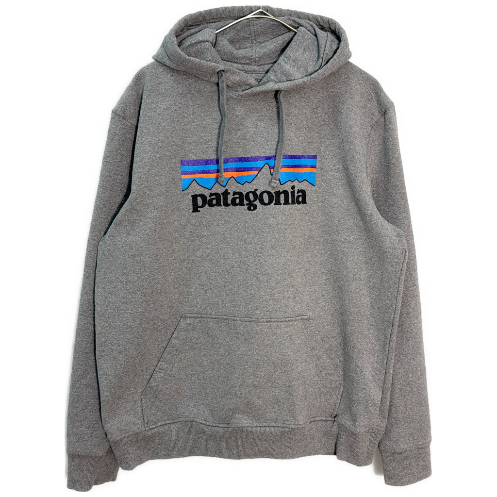 patagonia Hoodie