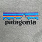 patagonia Hoodie