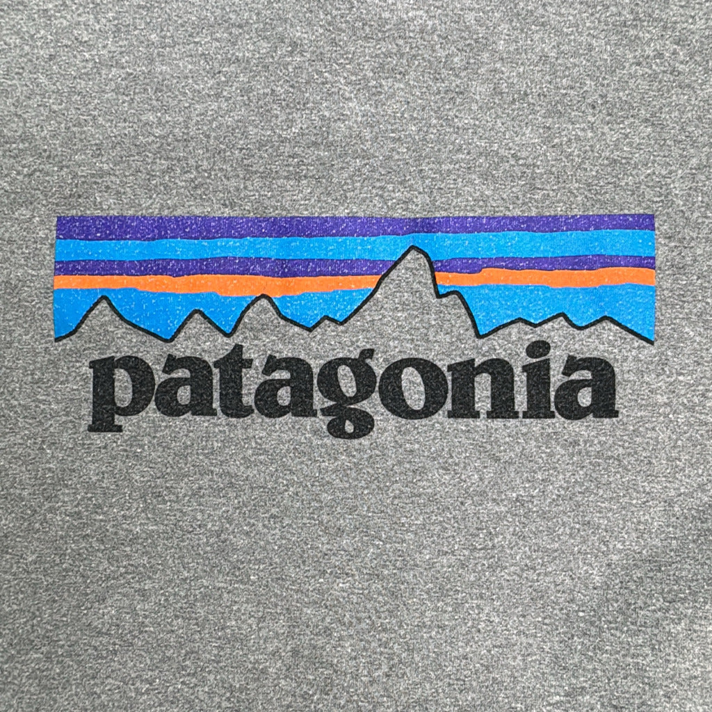 patagonia Hoodie