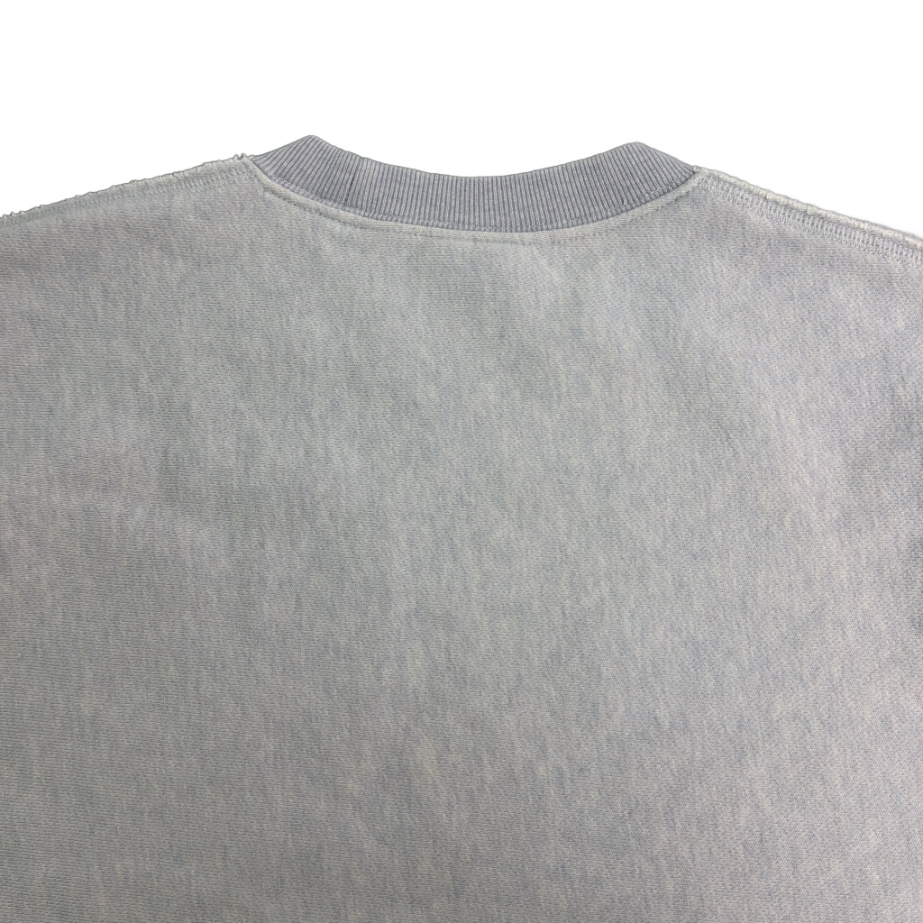 Champion REVERSE WEAVE Plain Sweat