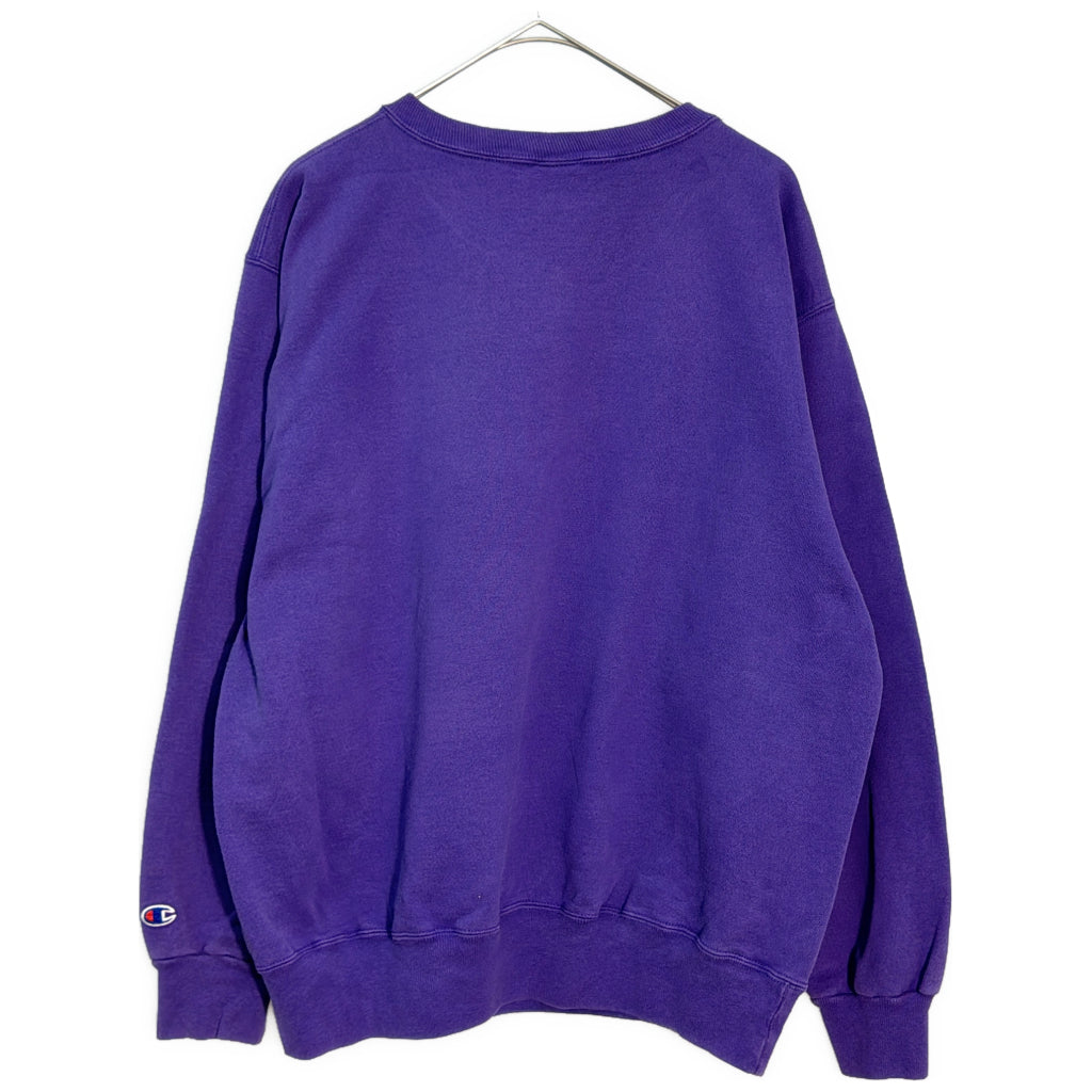 90s Champion AUTHENTIC College Sweat
