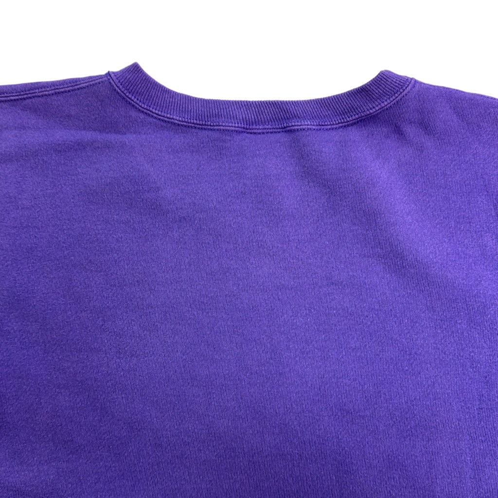 90s Champion AUTHENTIC College Sweat