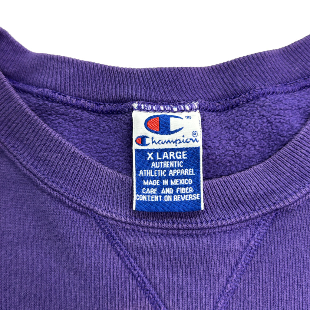 90s Champion AUTHENTIC College Sweat