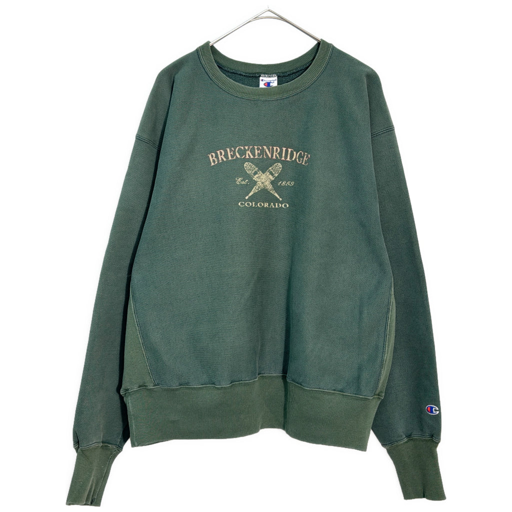 90s Champion AUTHENTIC College Sweat