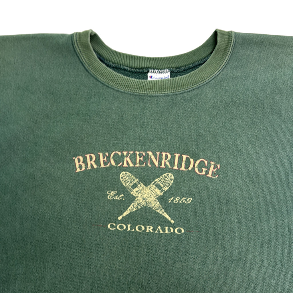 90s Champion AUTHENTIC College Sweat