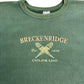 90s Champion AUTHENTIC College Sweat