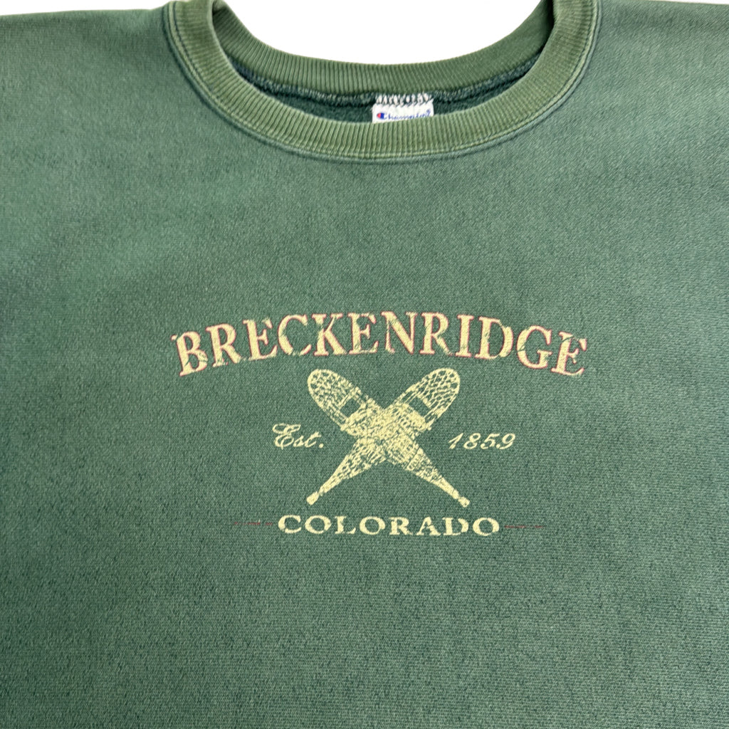 90s Champion AUTHENTIC College Sweat