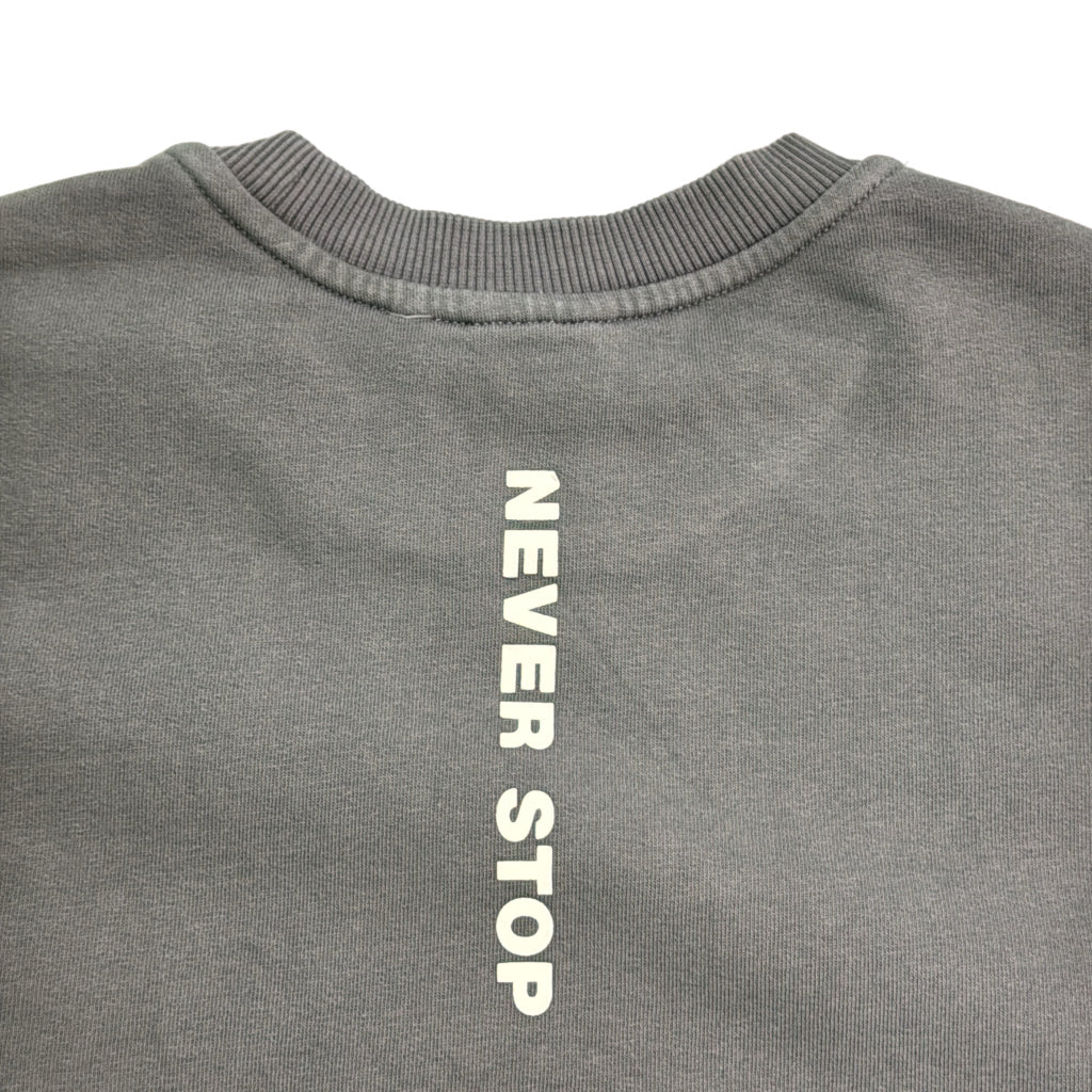 THE NORTH FACE Sweat