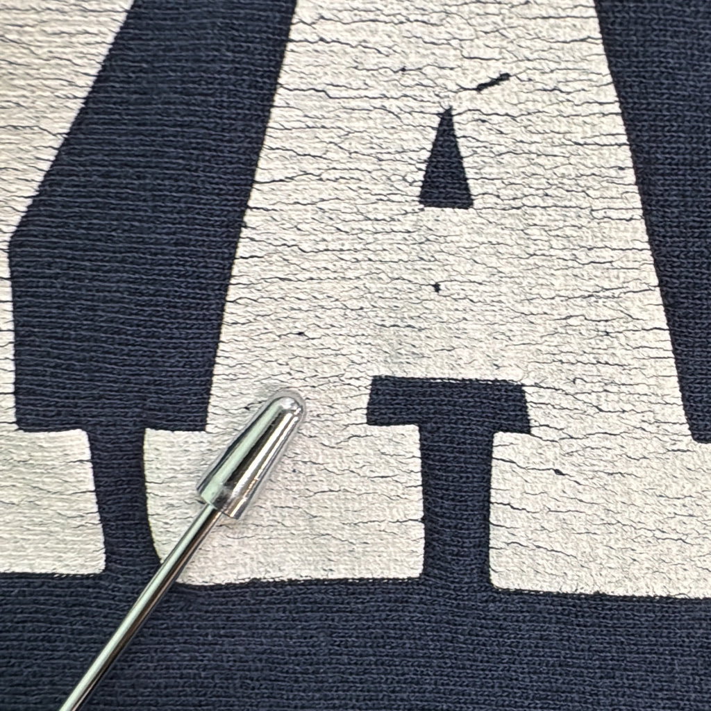 80s Champion "YALE" REVERSE WEAVE College Sweat