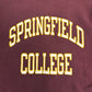 90s Champion REVERSE WEAVE College Sweat