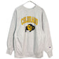 90s Champion REVERSE WEAVE College Sweat