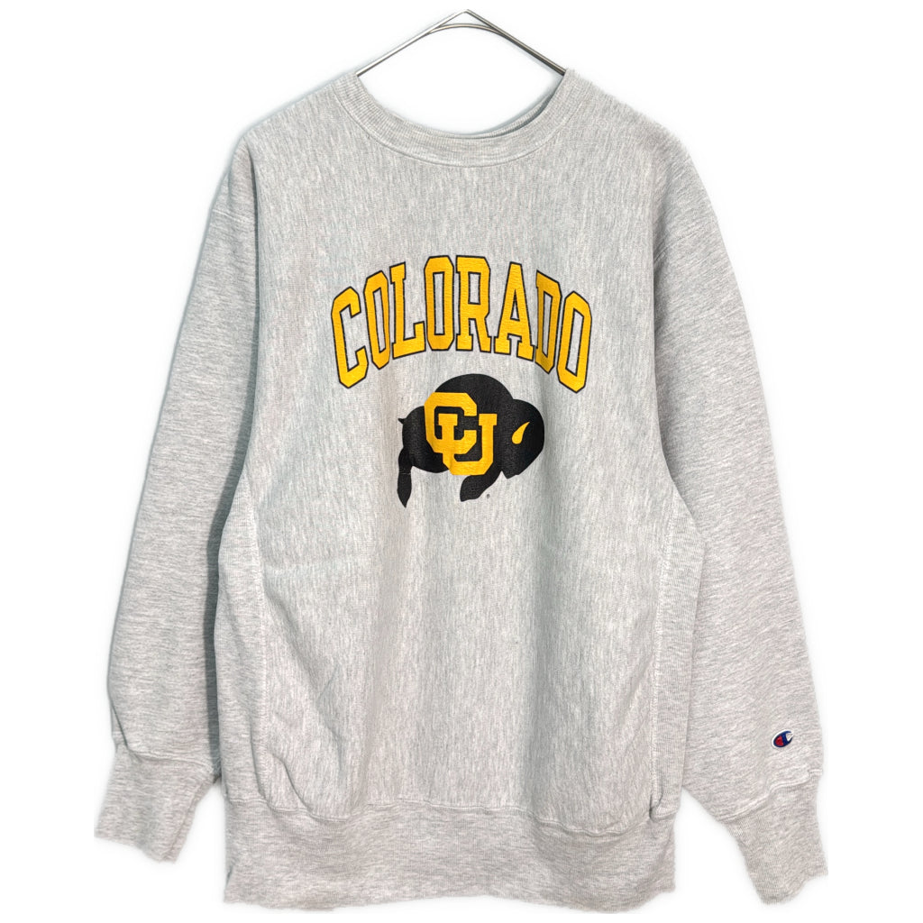 90s Champion REVERSE WEAVE College Sweat