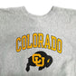 90s Champion REVERSE WEAVE College Sweat