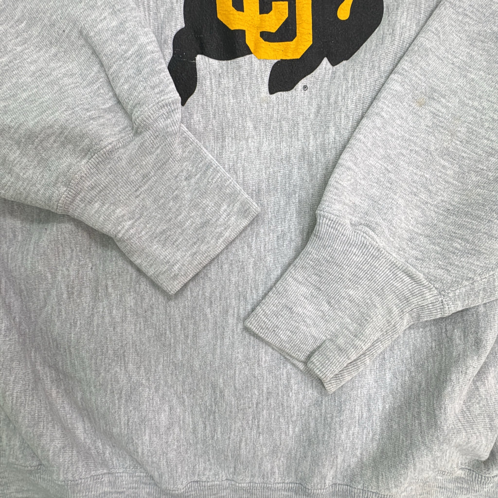 90s Champion REVERSE WEAVE College Sweat