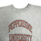 80s Champion REVERSE WEAVE College Sweat