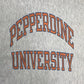 80s Champion REVERSE WEAVE College Sweat