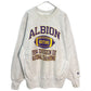 90s Champion REVERSE WEAVE College Sweat