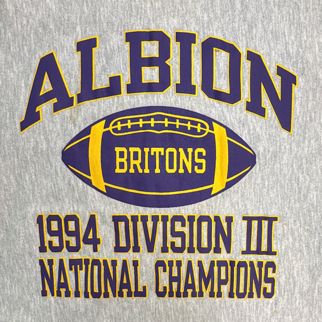 90s Champion REVERSE WEAVE College Sweat