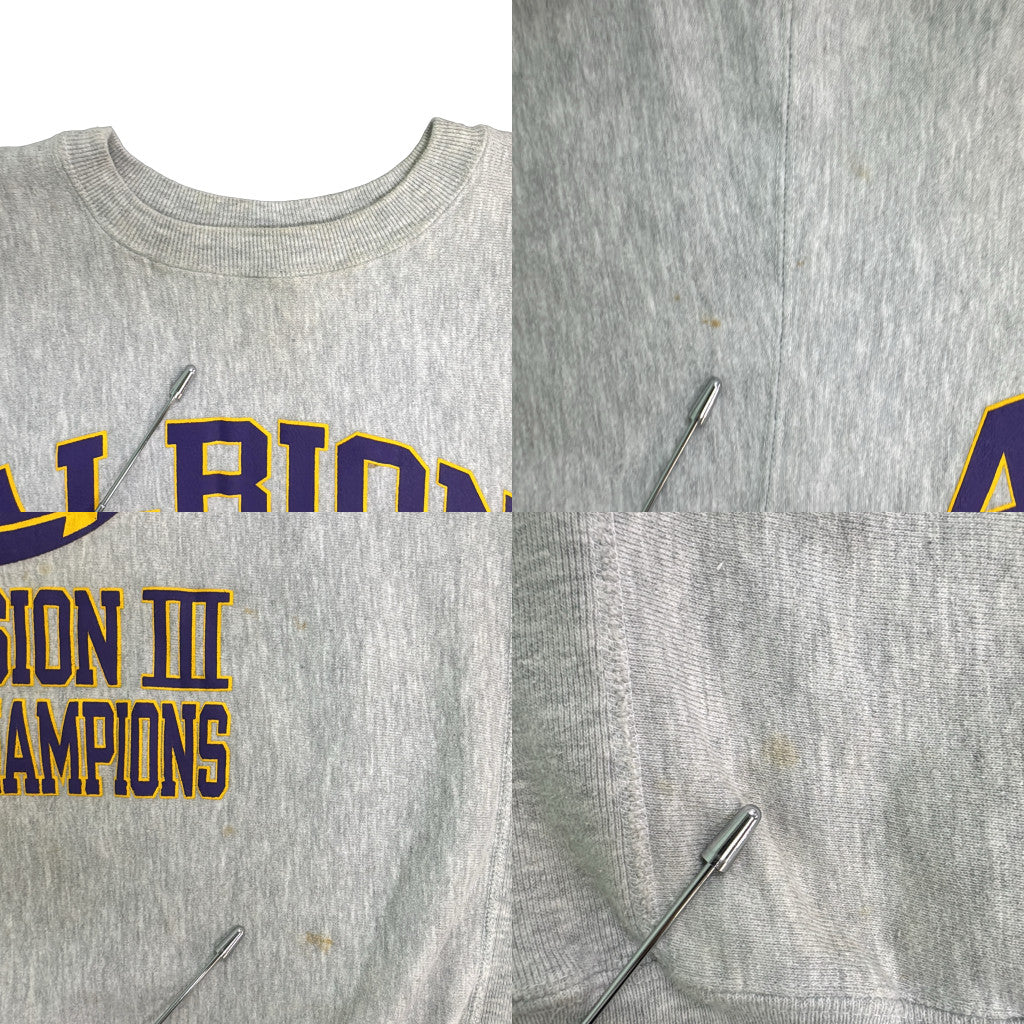 90s Champion REVERSE WEAVE College Sweat