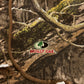 MOSSY OAK Padded Jacket
