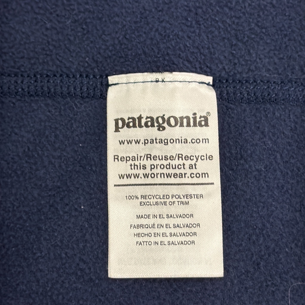 patagonia Micro D Fleece Jacket
